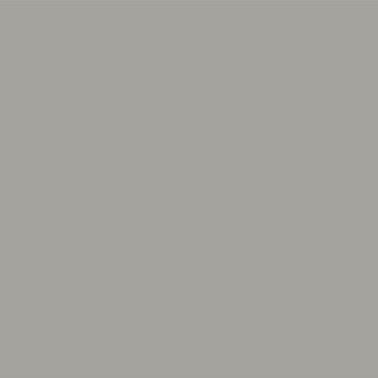 PP21205 - 2 Oz Storm Gray Satin Semigloss (805)