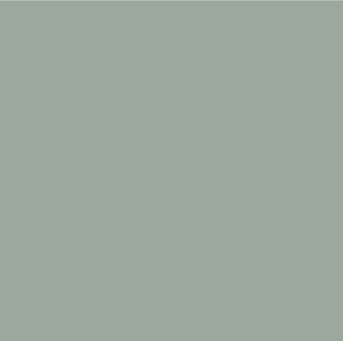 PP21276 - 2 Oz Village Green Satin Semigloss (876)
