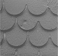 PRE1122 - Fishscale Shingles