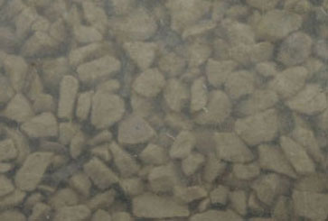 WDSB-87 - Coarse Ballast-Buff