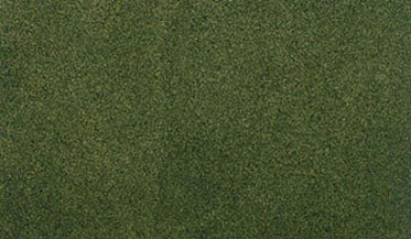 WDSG5123 - Forest Grass